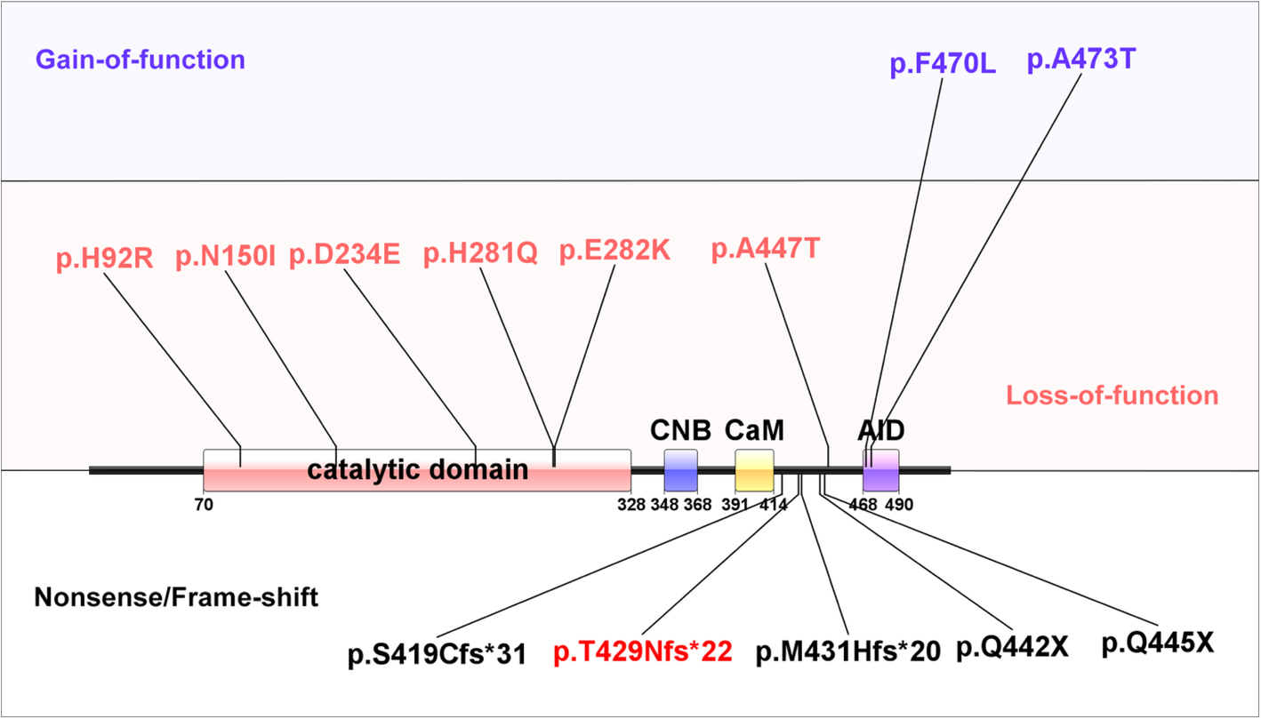 Fig. 2