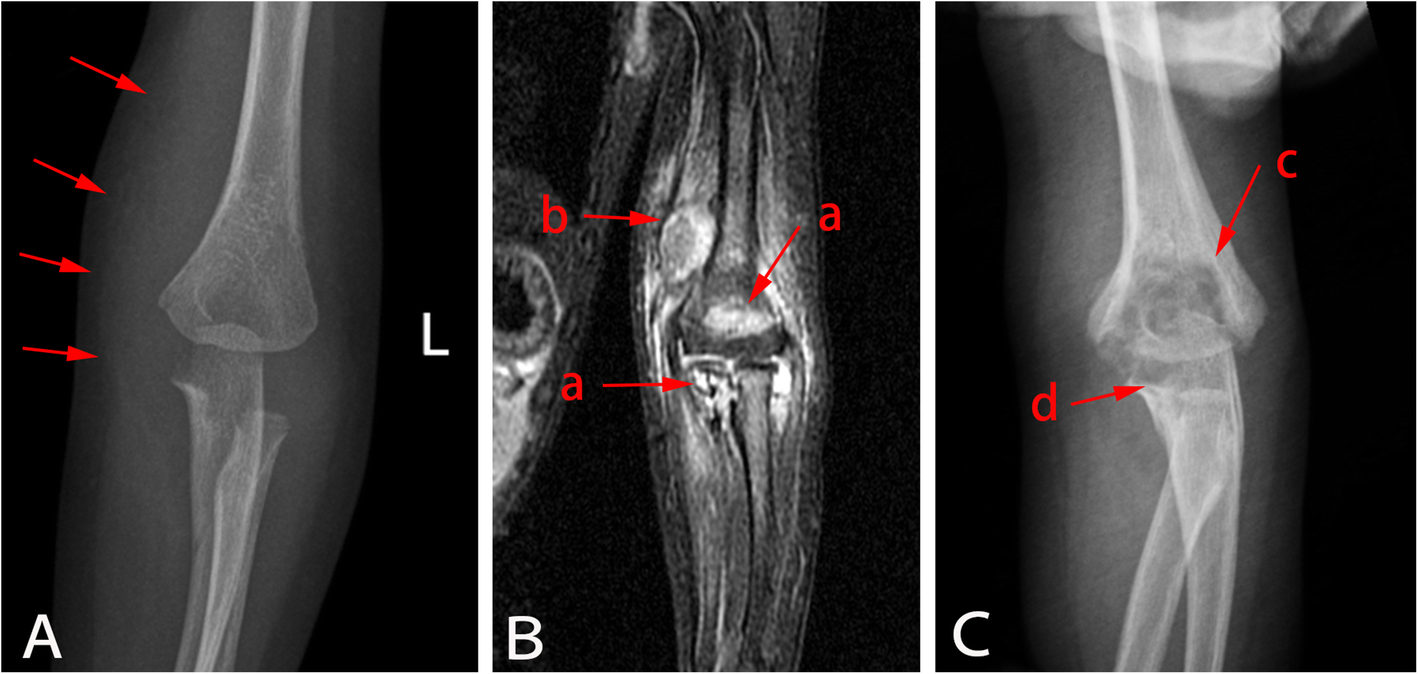 Fig. 4