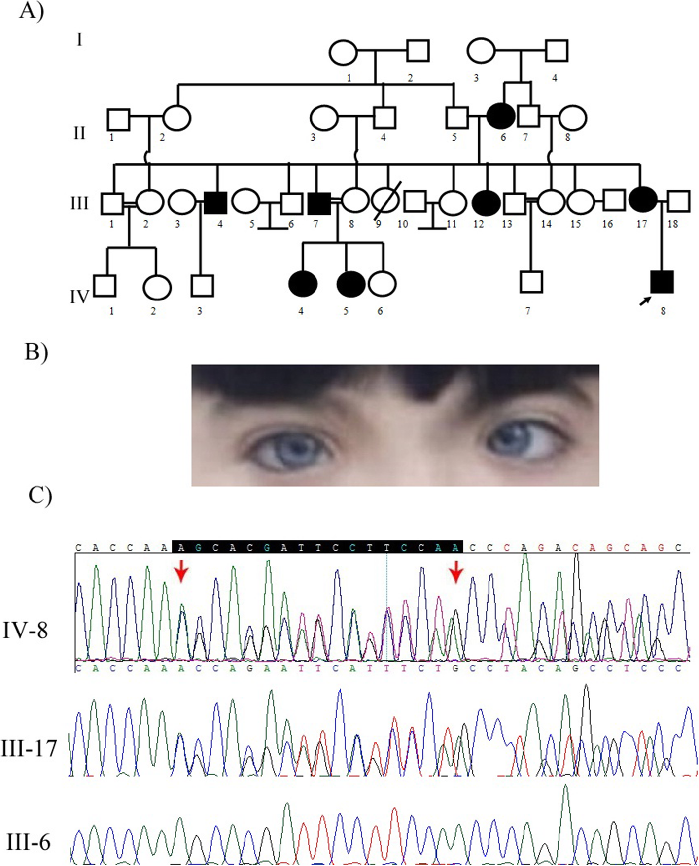 Fig. 4