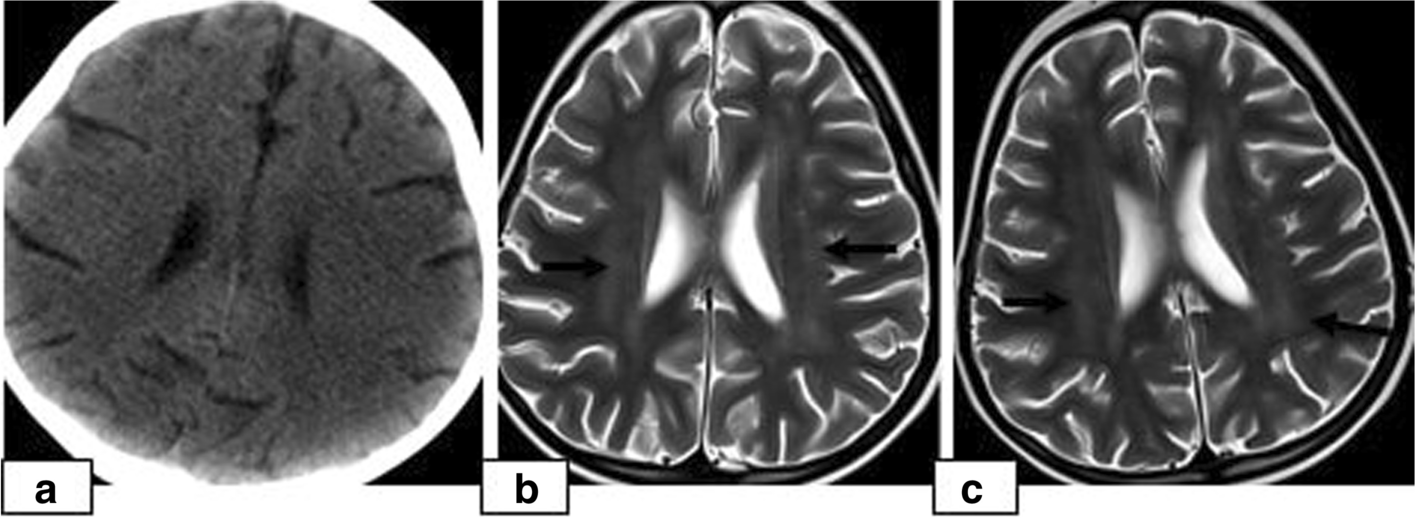 Fig. 5