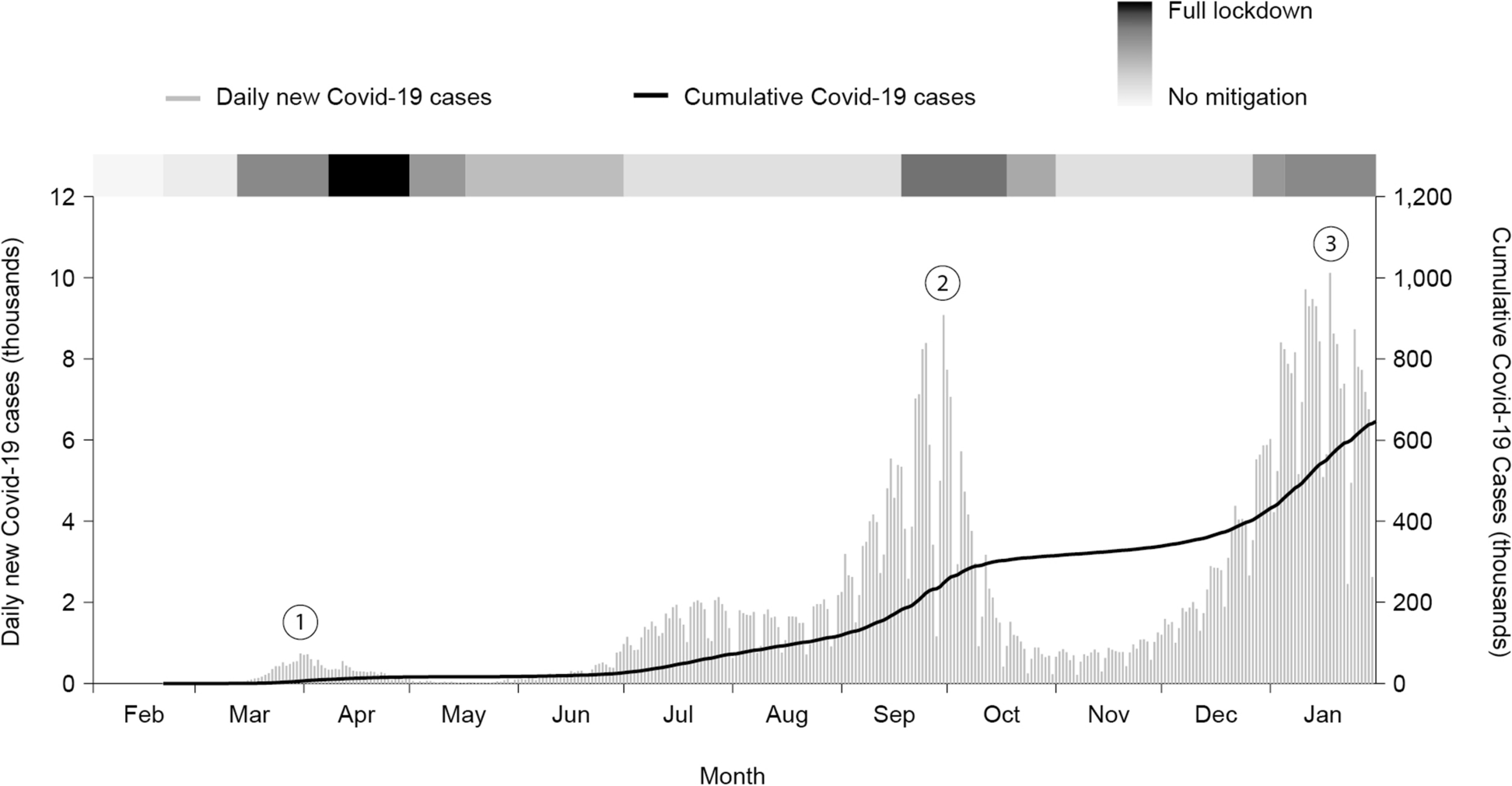 Fig. 1