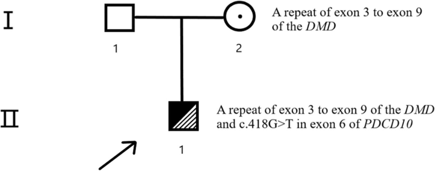 Fig.2