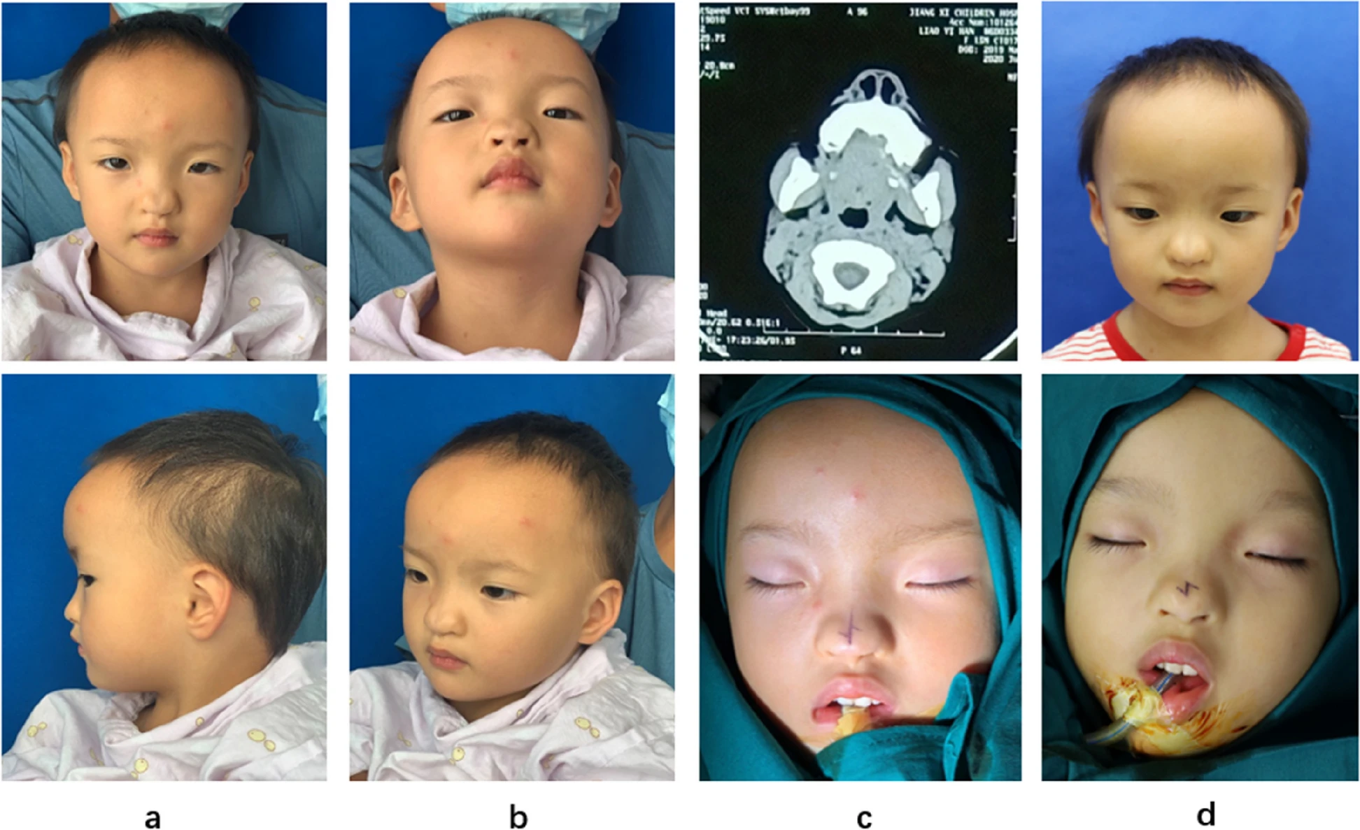 12887_2023_4453_Fig2_HTML.png?as=webp