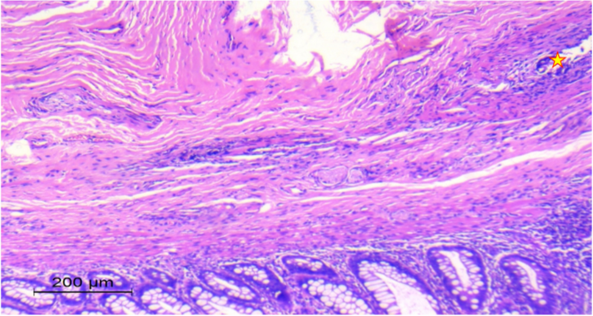 Fig. 9