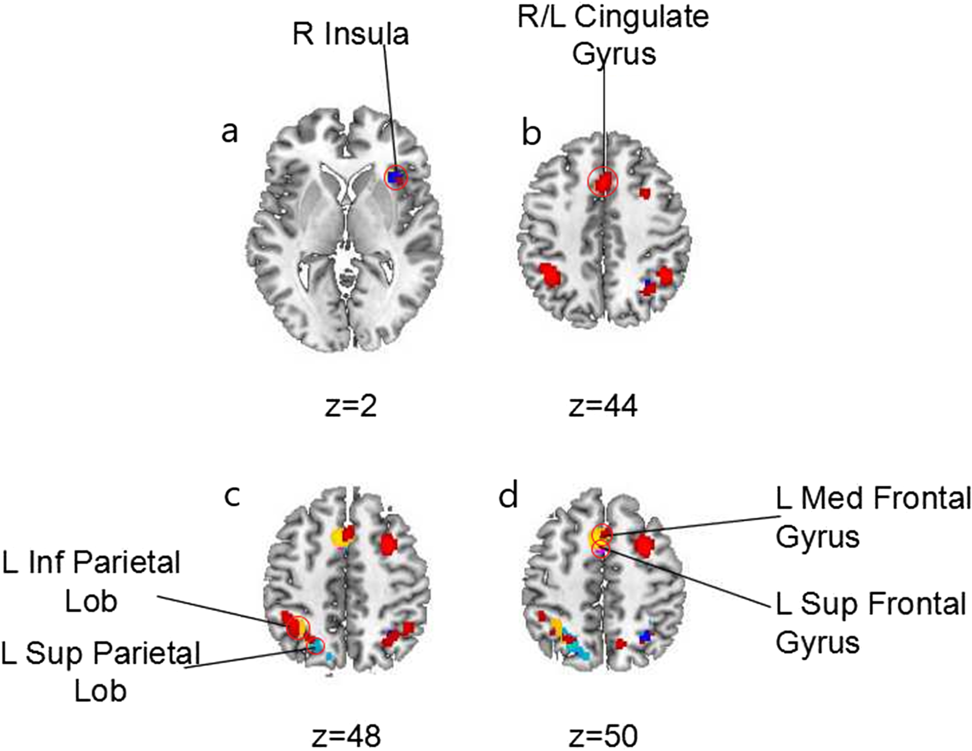 Fig. 2