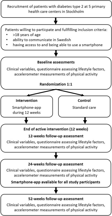 Physical Activity Factor Chart