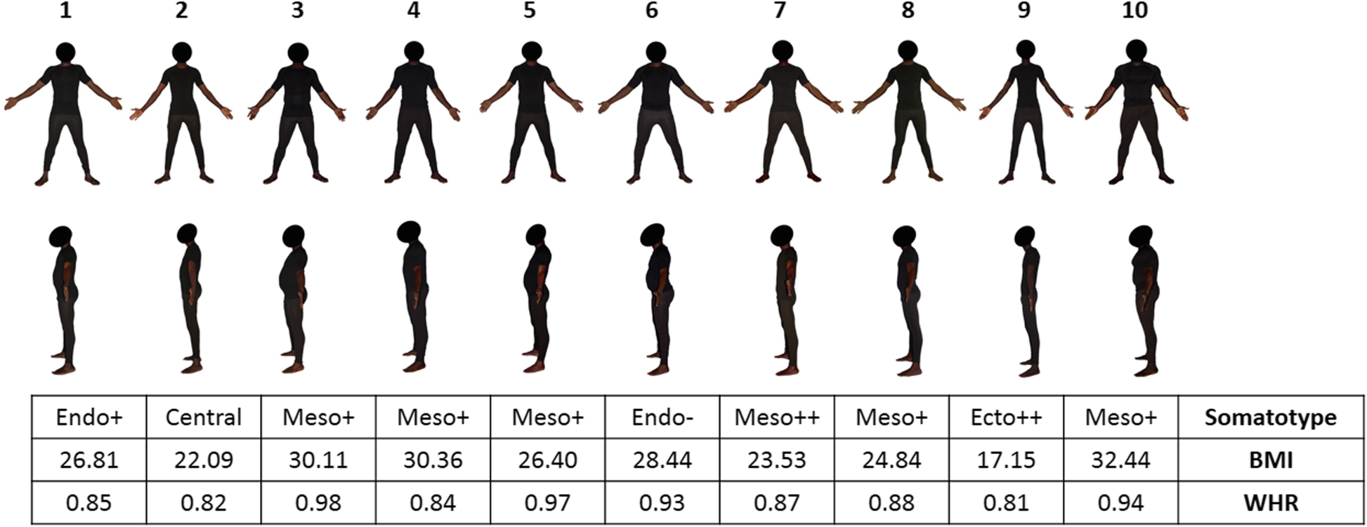 Fig. 1