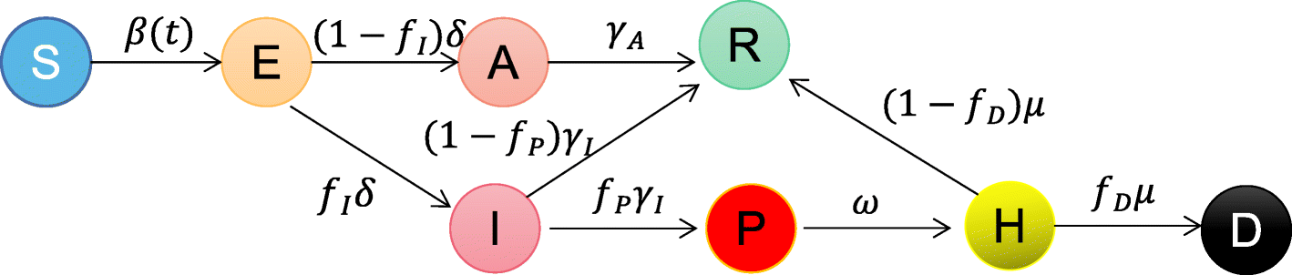 Fig. 2