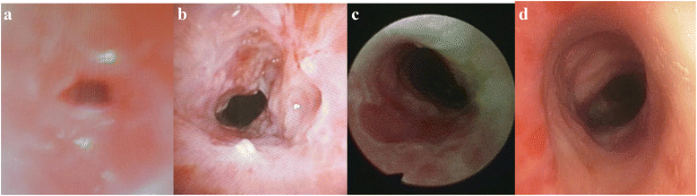 Fig. 7