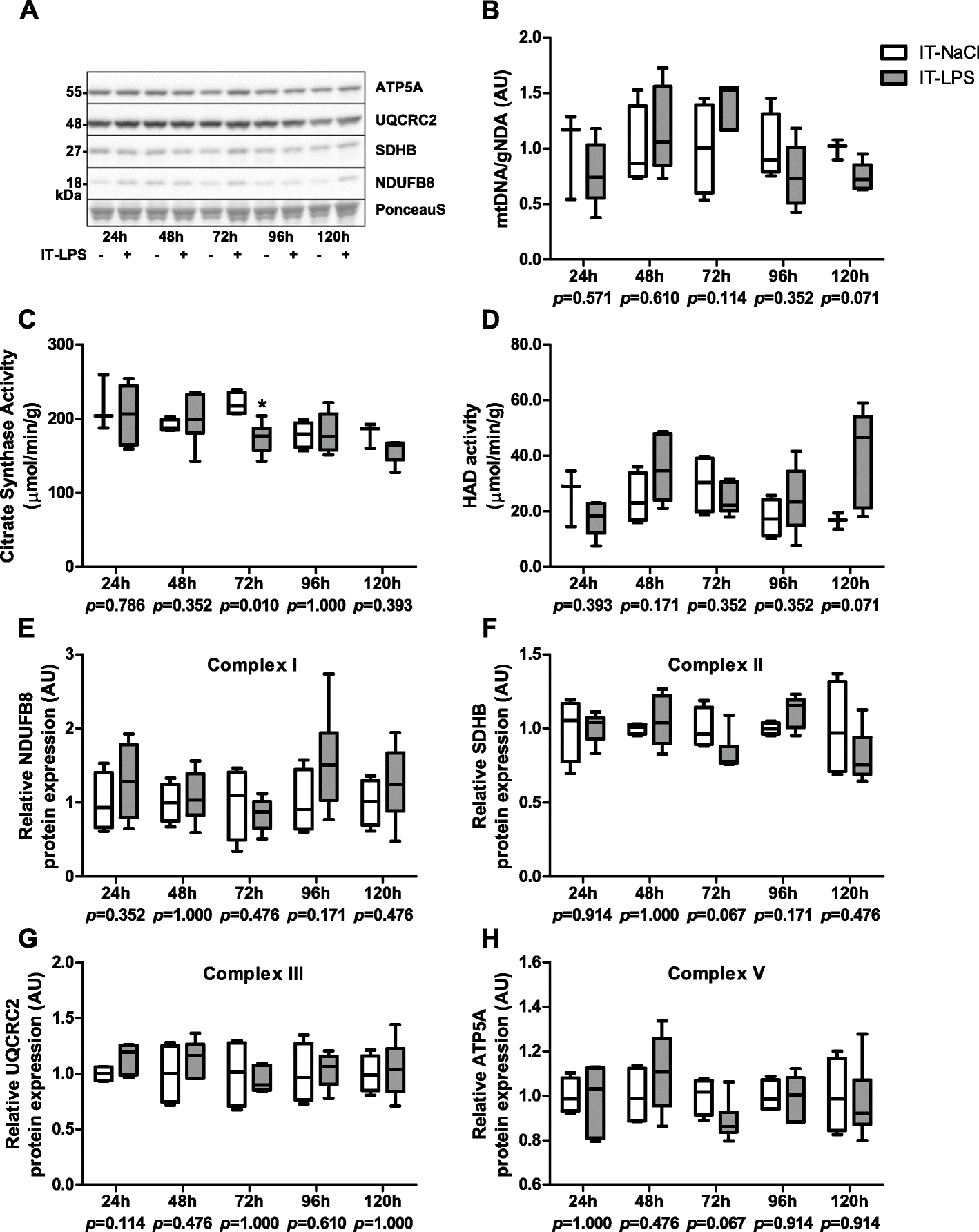 Fig. 9