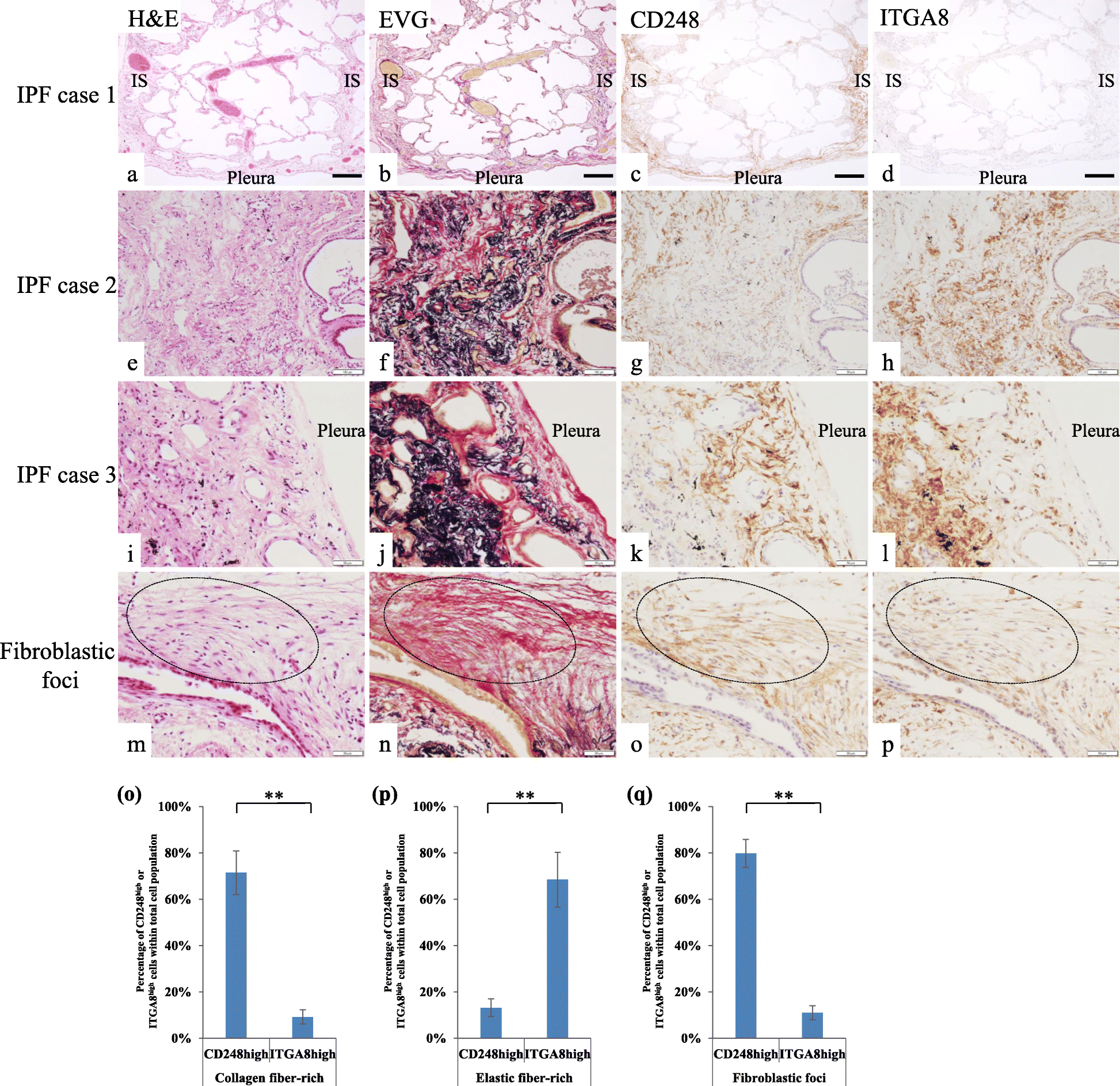 Fig. 9