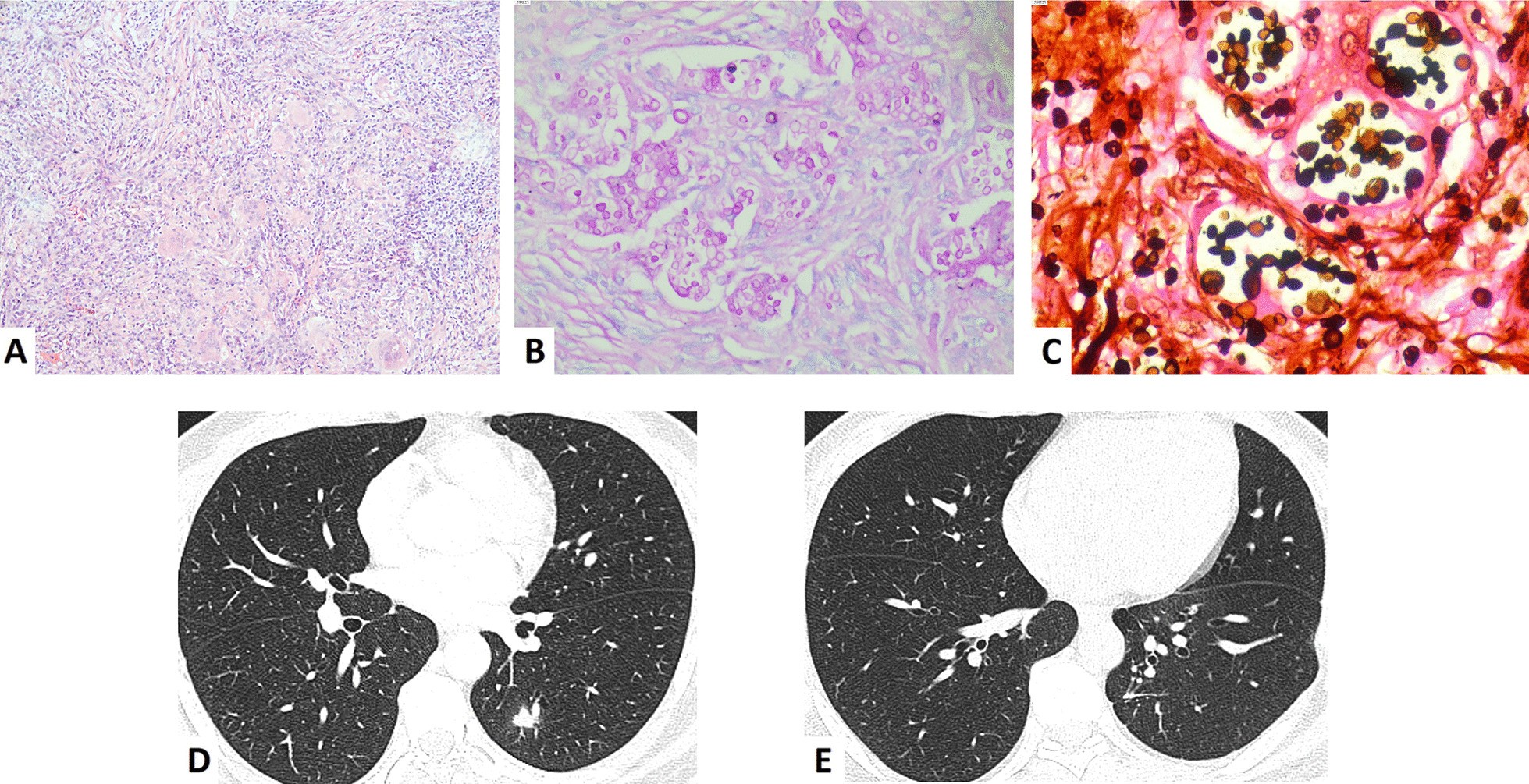 Fig. 2