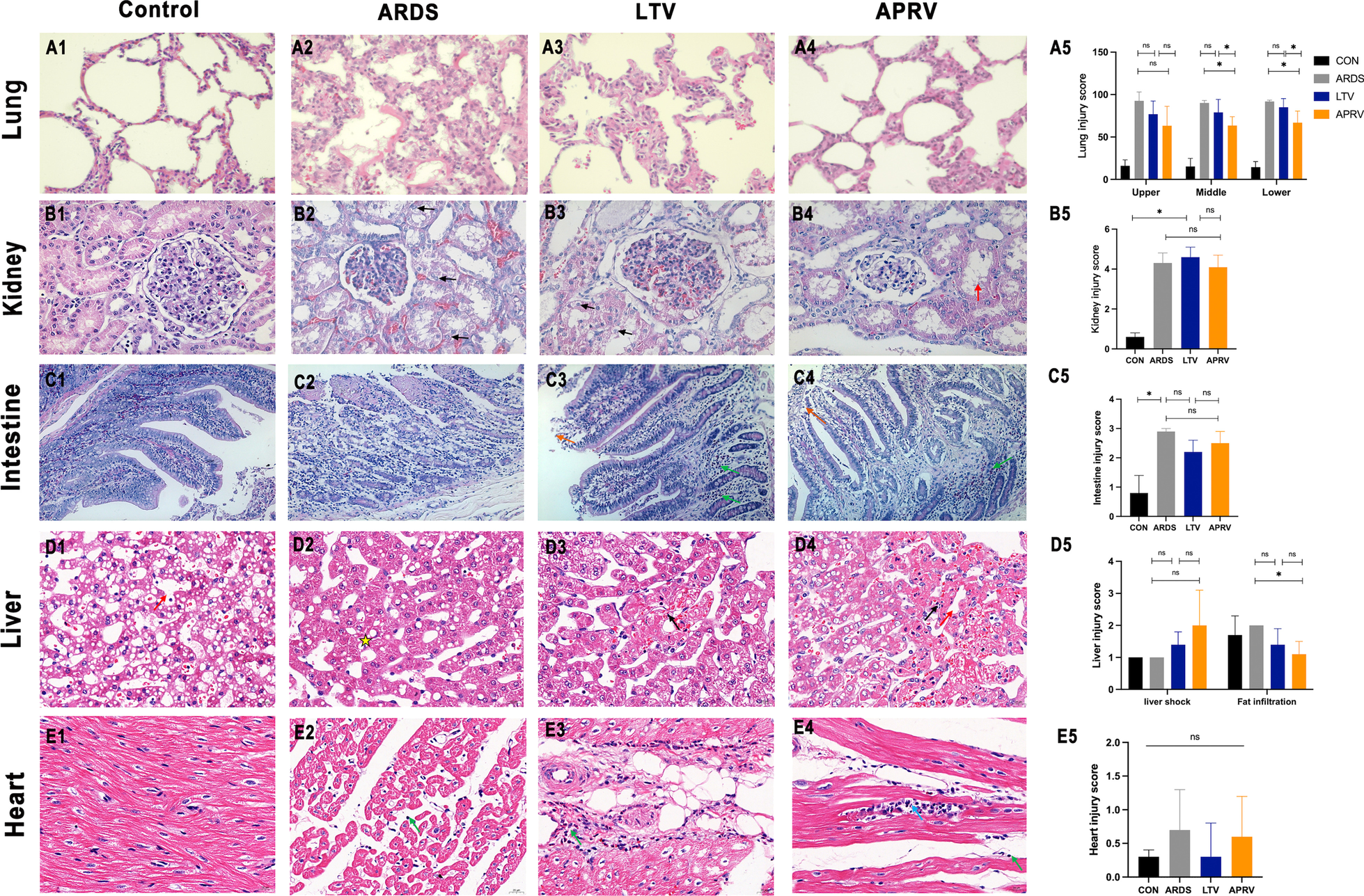 Fig. 4