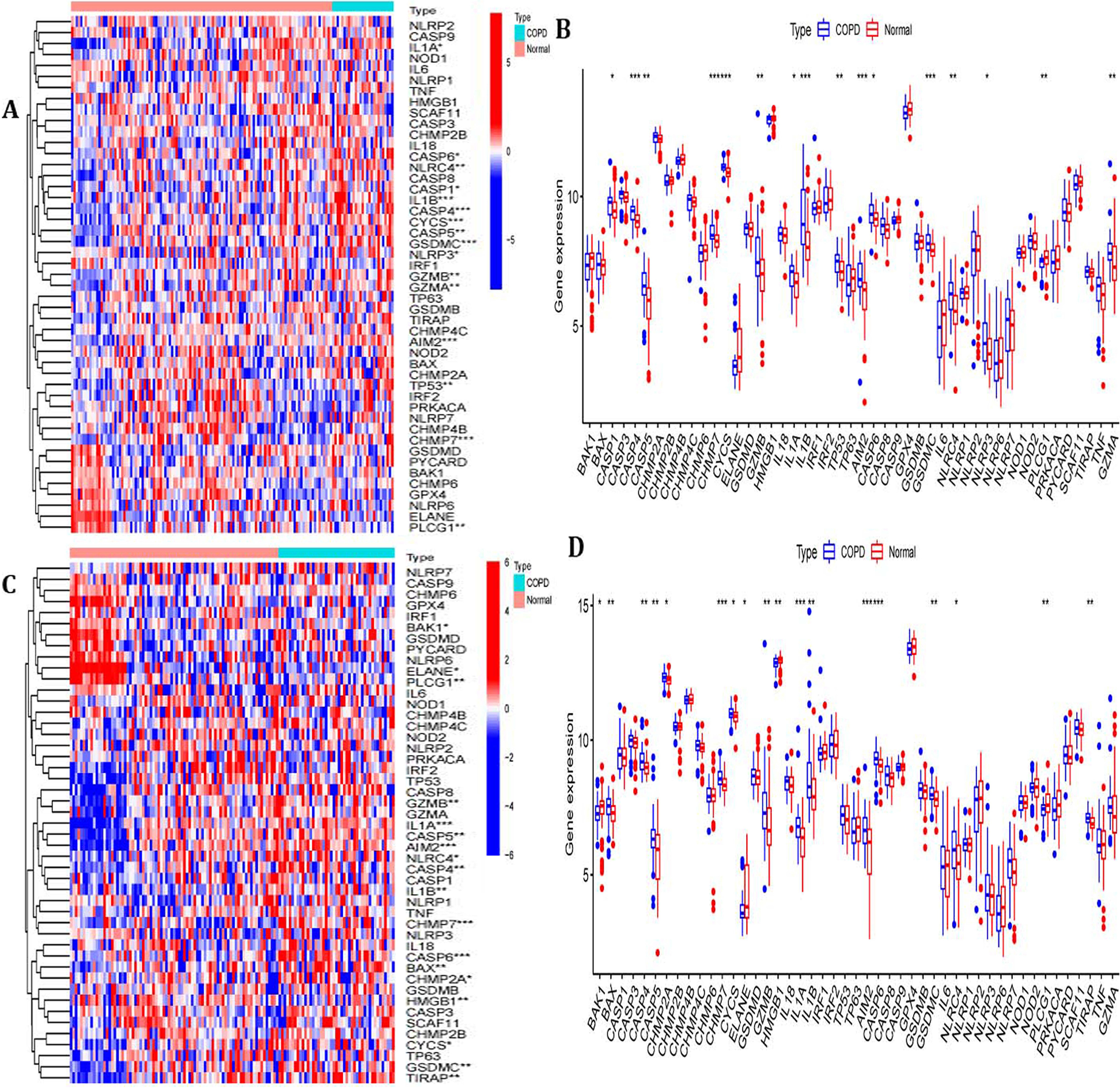 Fig. 2