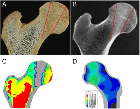 Fig. 8