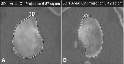 Fig. 6