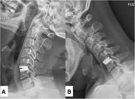 Fig. 8