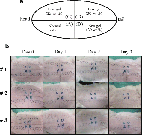 Fig. 6