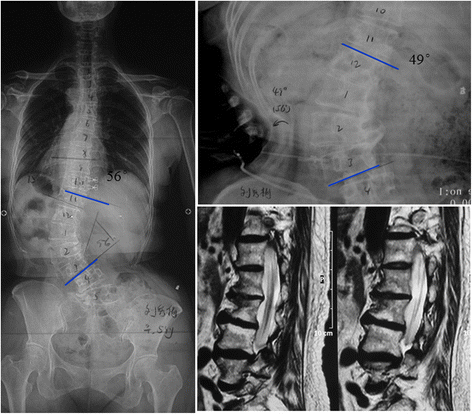 Fig. 4