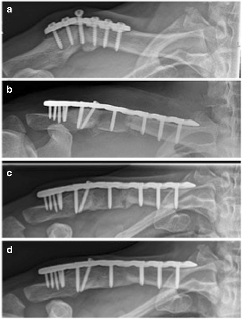 Fig. 4