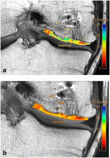 Fig. 10