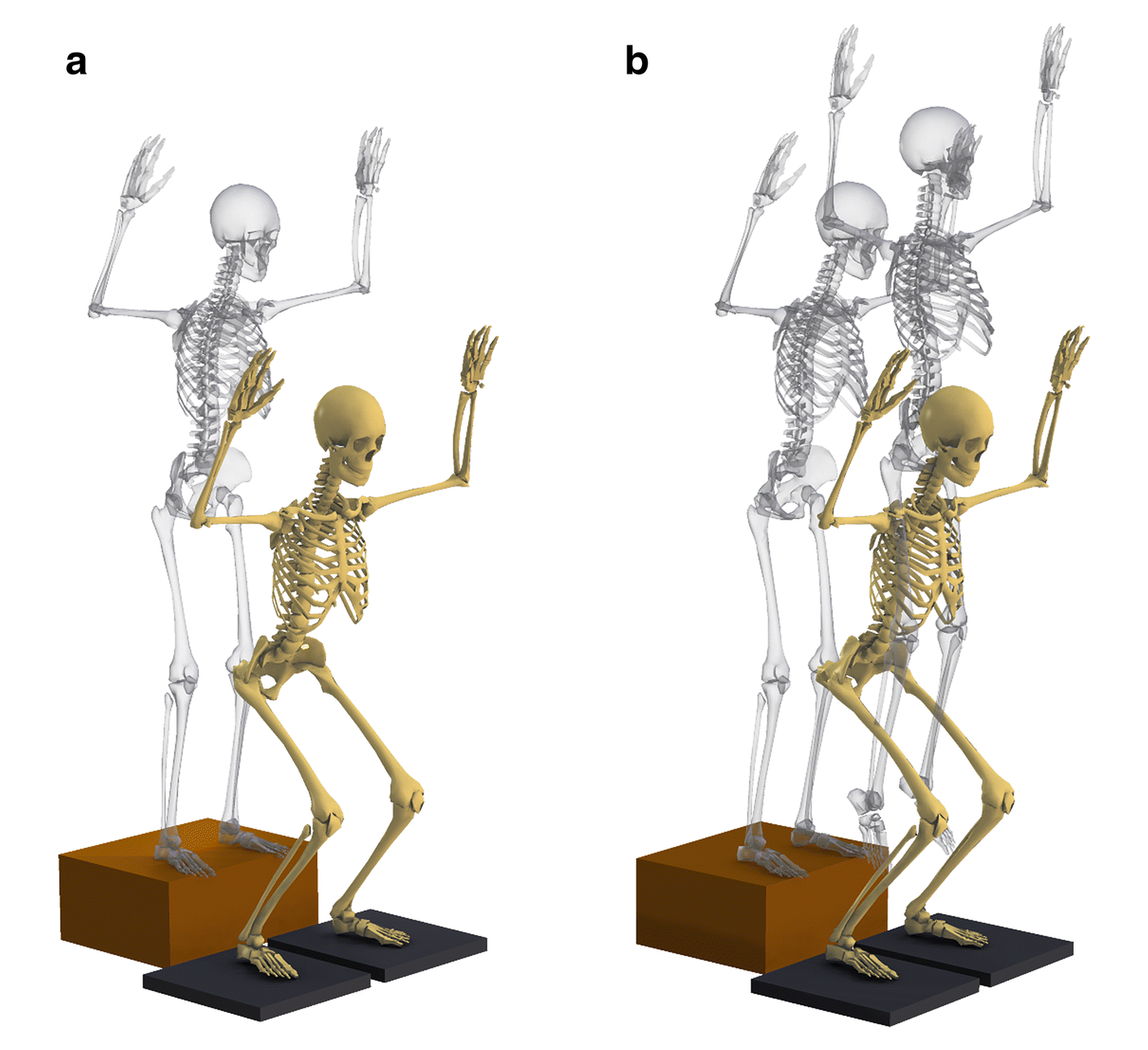 Fig. 2