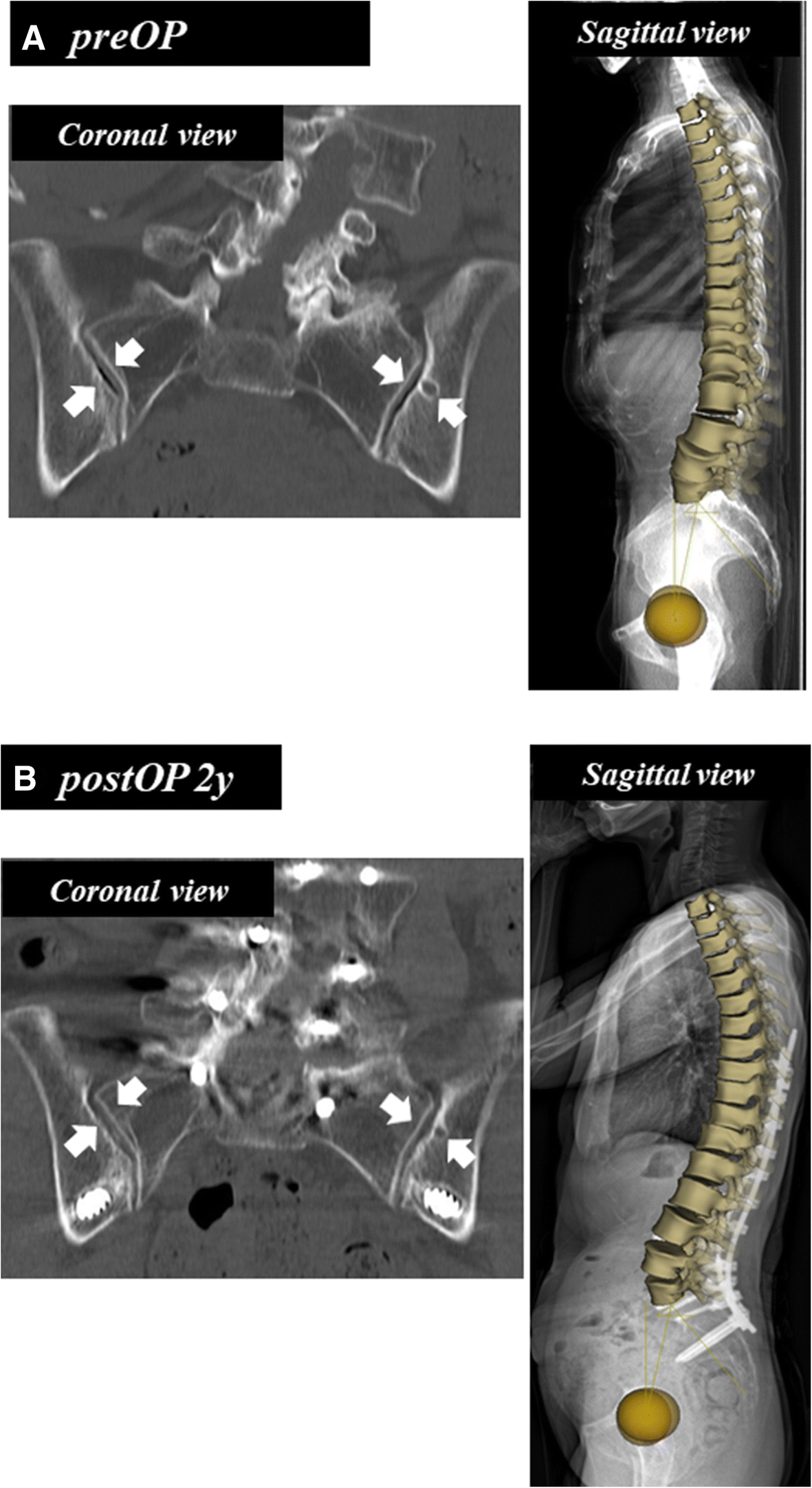 Fig. 5