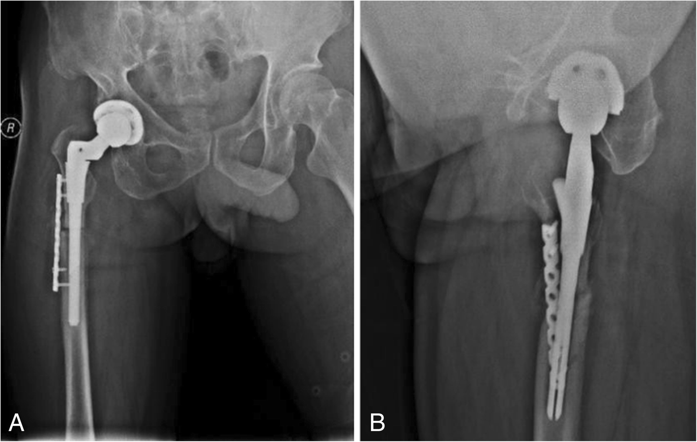 Fig. 8