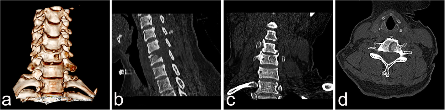 Fig. 5