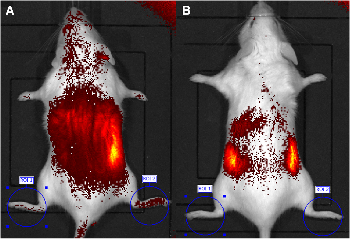 Fig. 6