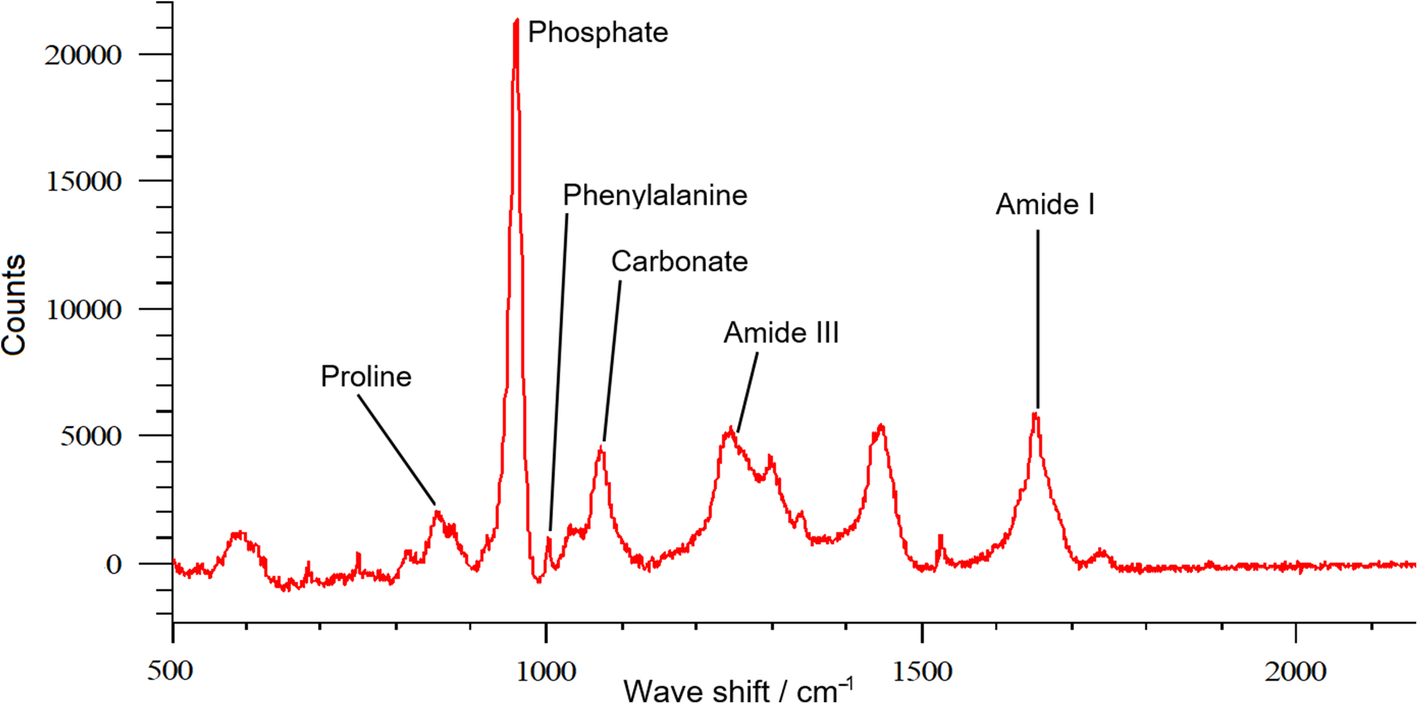 Fig. 6