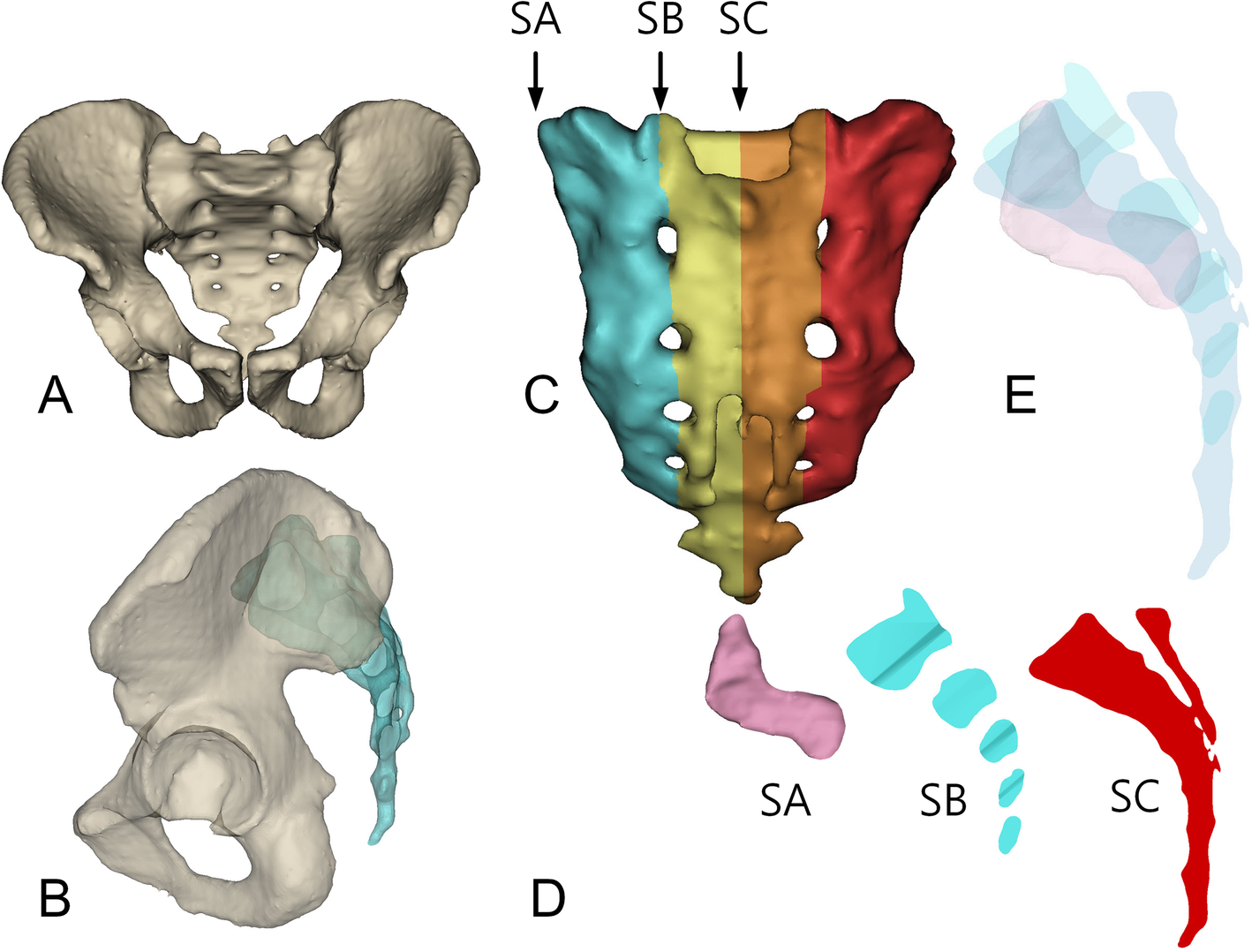 Fig. 1