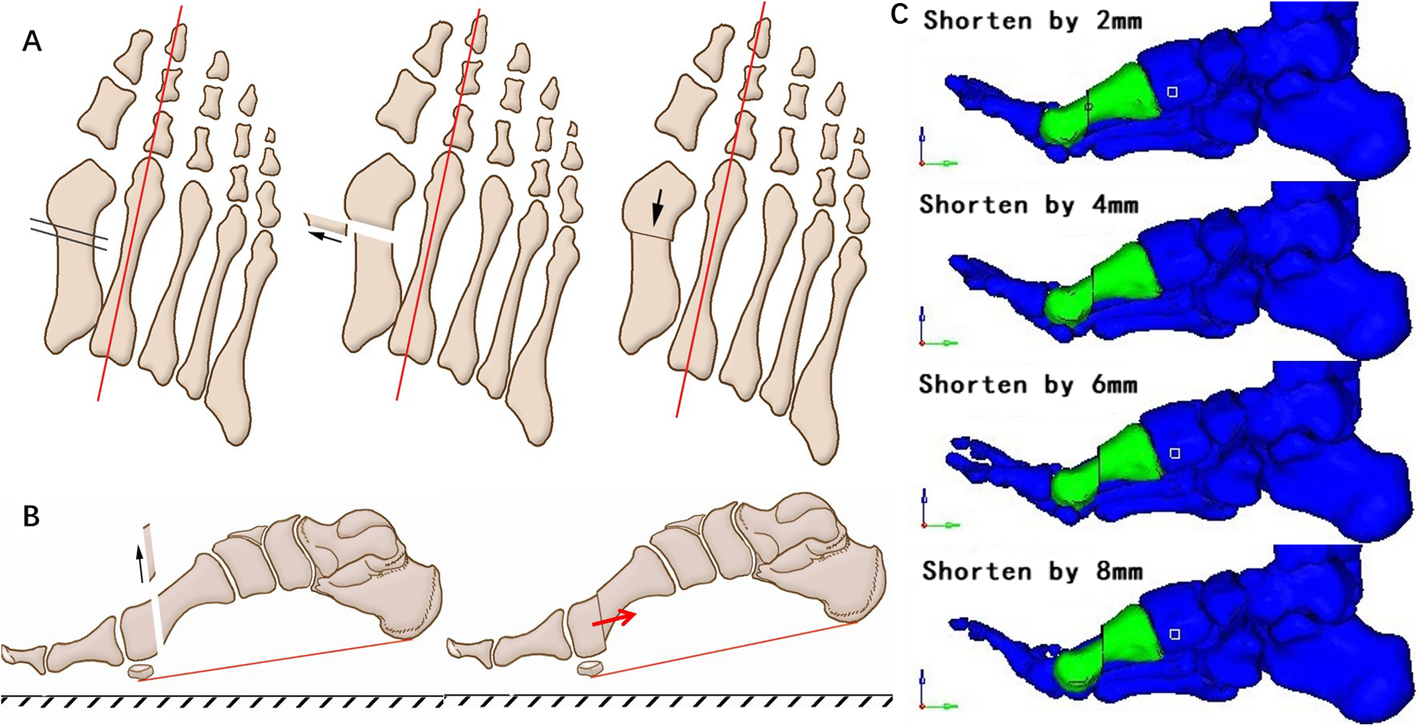 Fig. 4