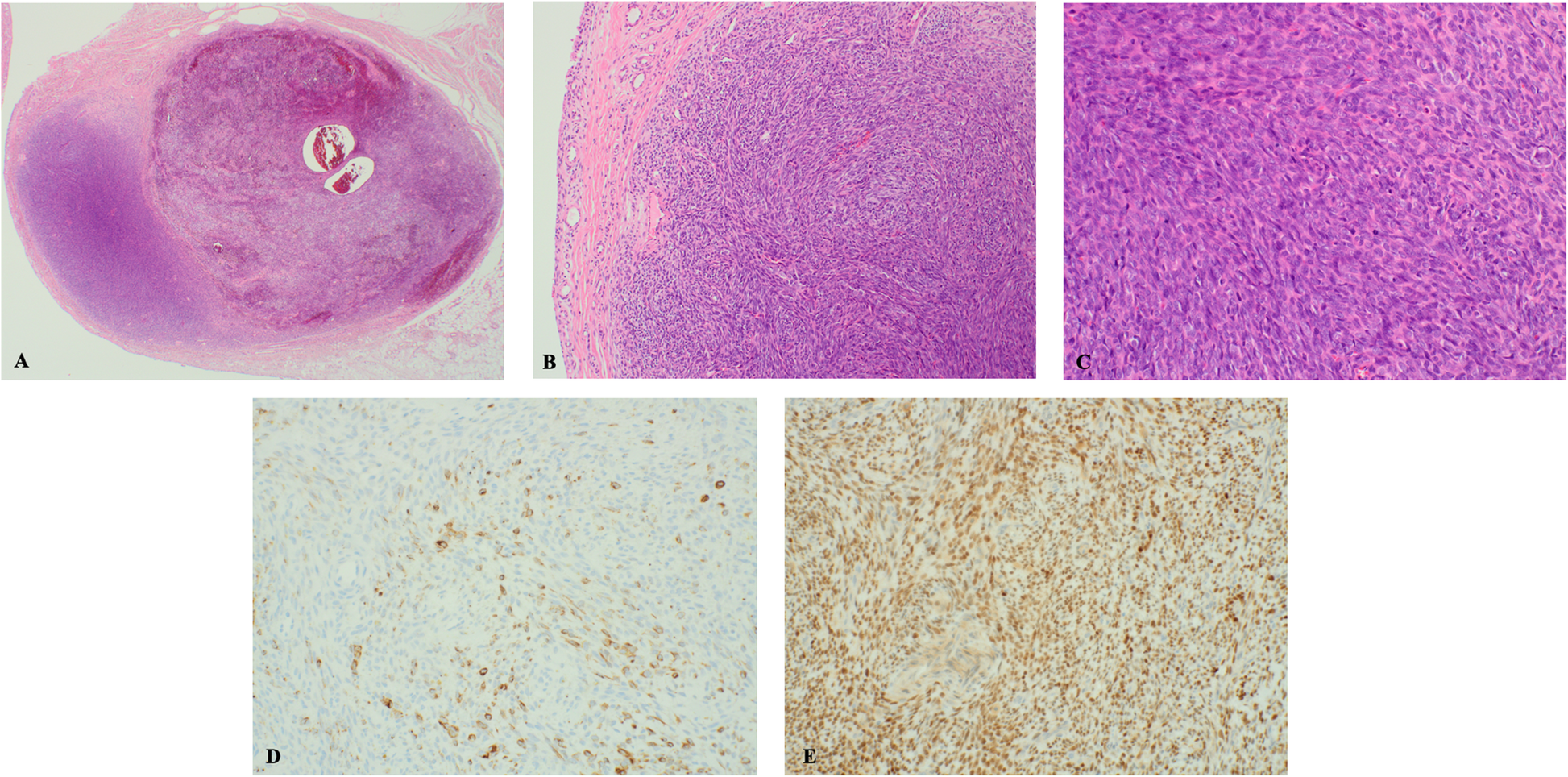 Fig. 4