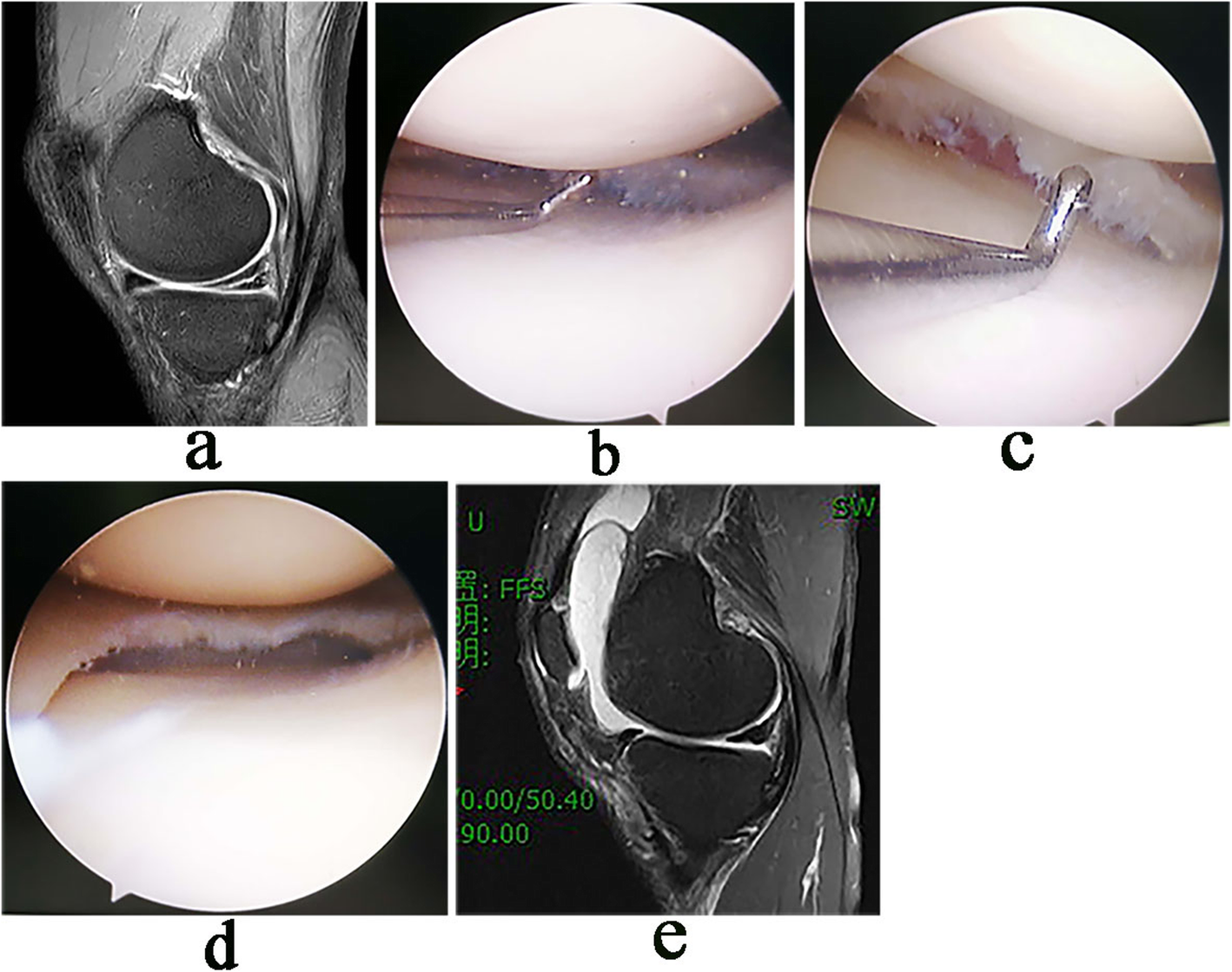 Fig. 5