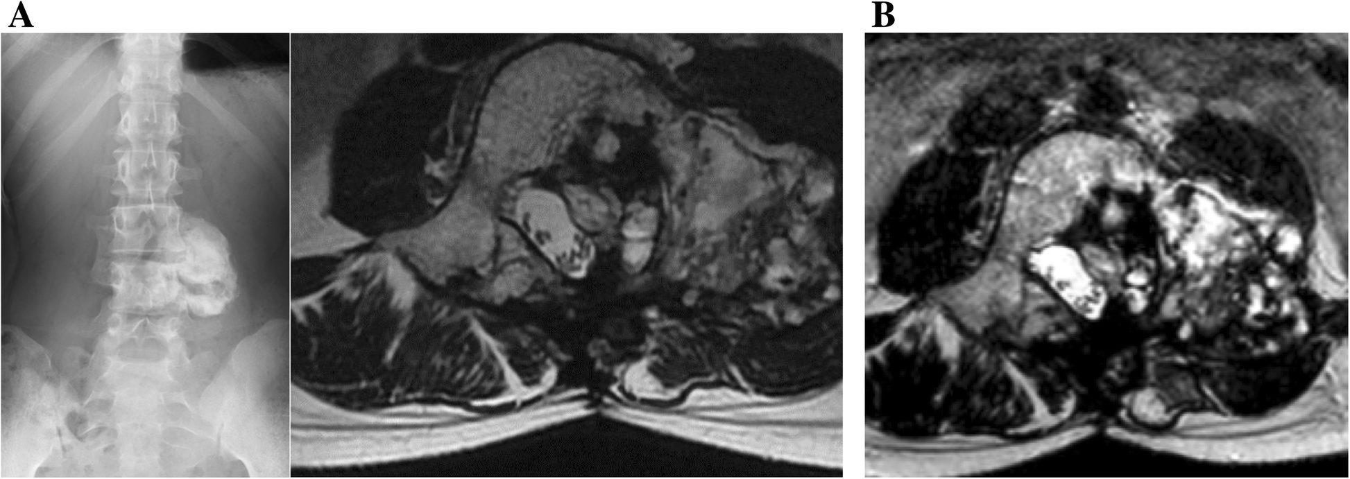 Fig. 5