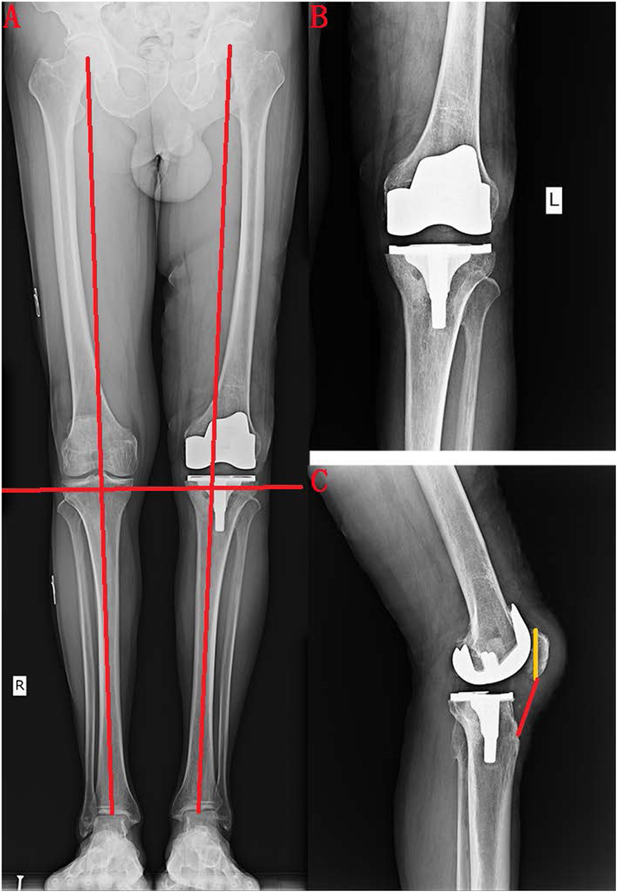 Fig. 5