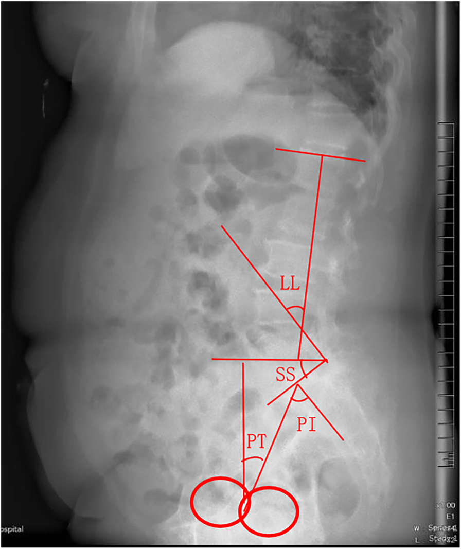 Fig. 1