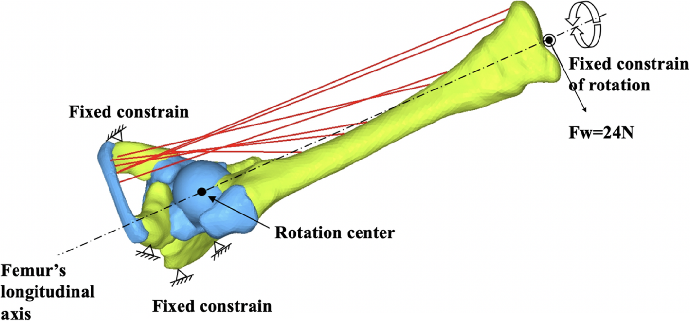 Fig. 4