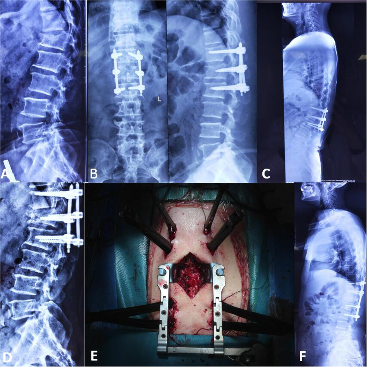 Fig. 3