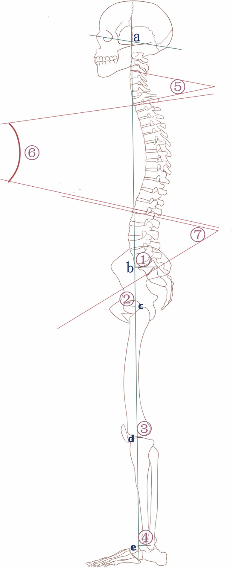 Fig. 2