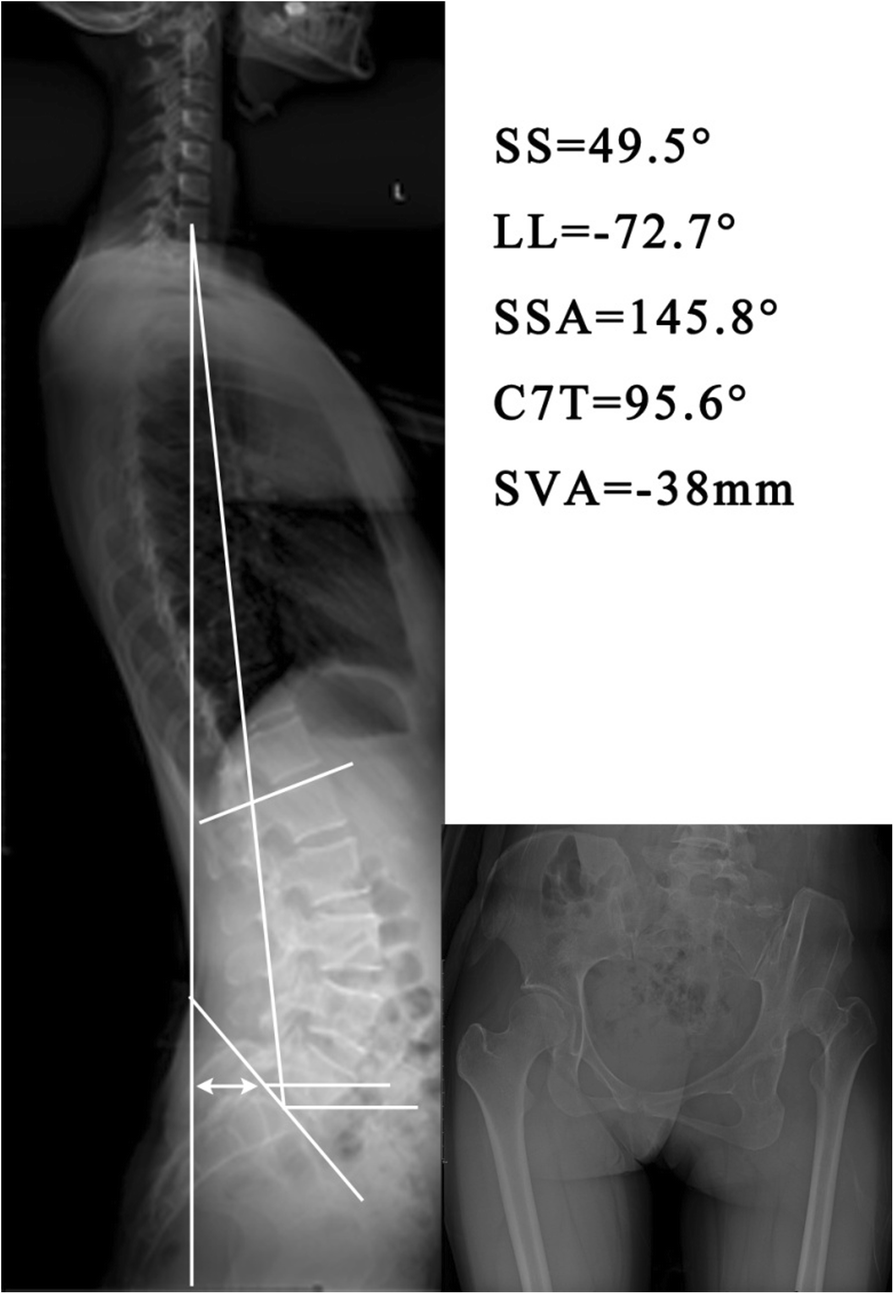 Fig. 2