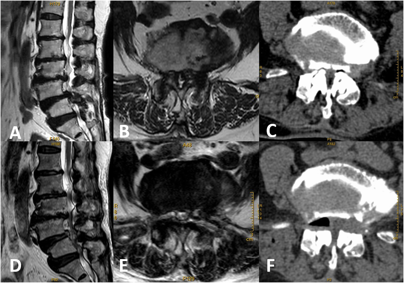 Fig. 5