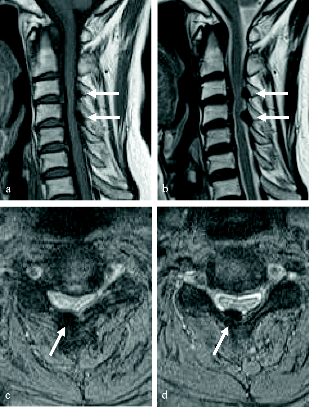 Fig. 5