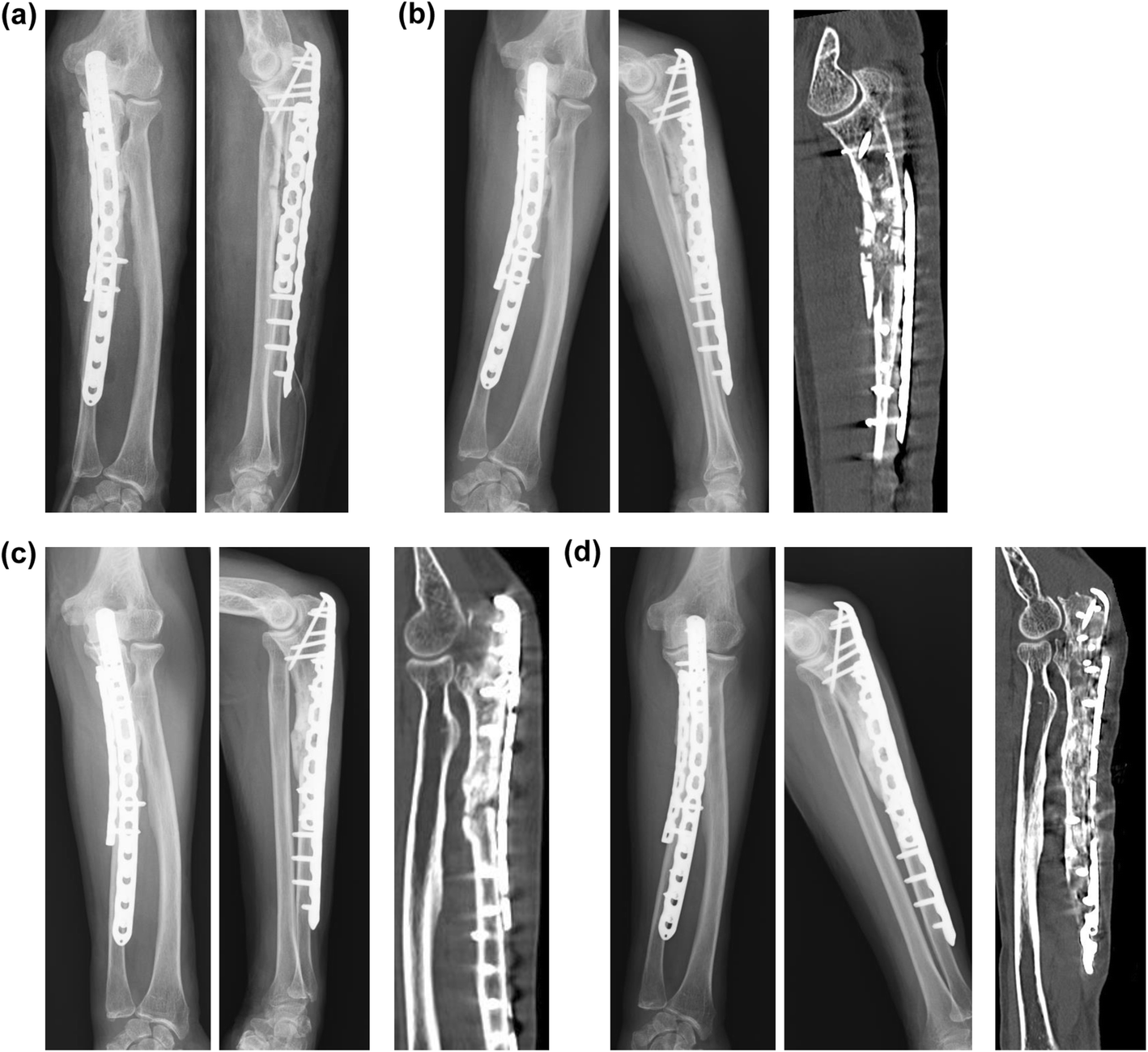 Fig. 5