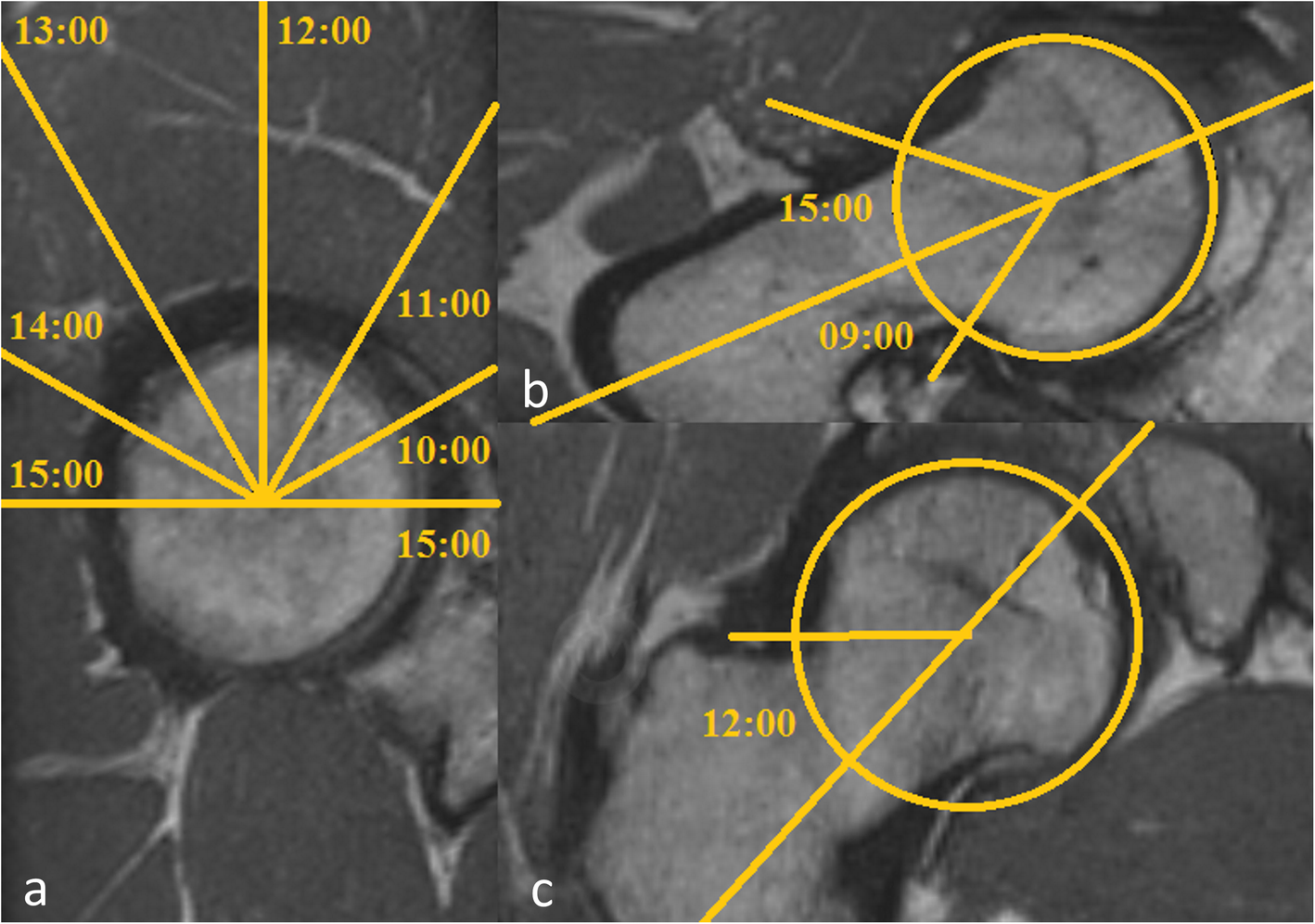 Fig. 5