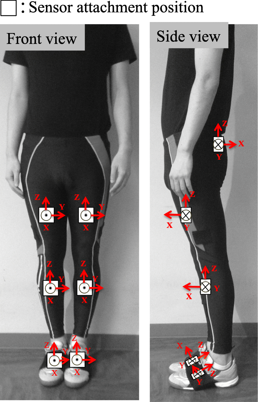 Fig. 2