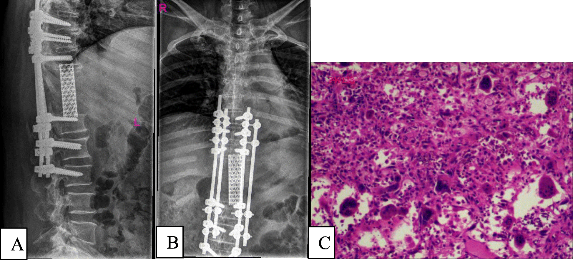 Fig. 5