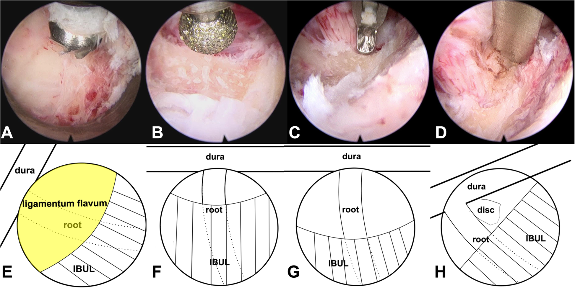 Fig. 5