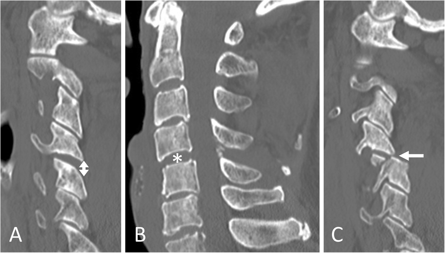 Fig. 5